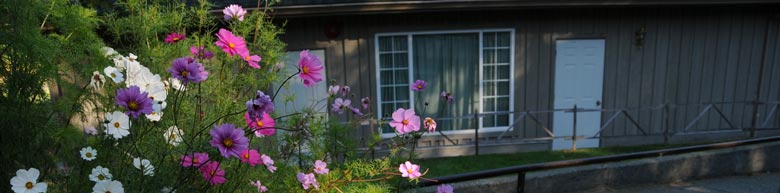 cosmos in front of the Kaatza Dormitory building