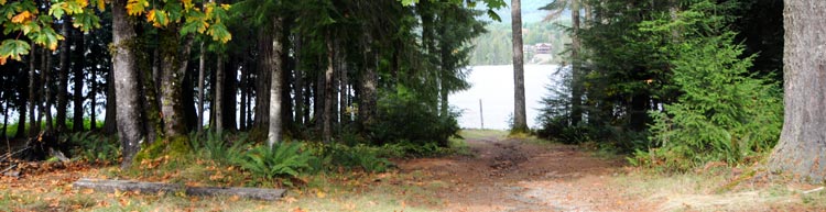 forest path to Cowichan Lake